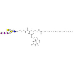 GT2 Ganglioside oligosaccharide linked to biotin and stearic chain (Linker-BT-STEA A)