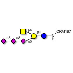 GT2 Ganglioside oligosaccharide grafted on CRM197