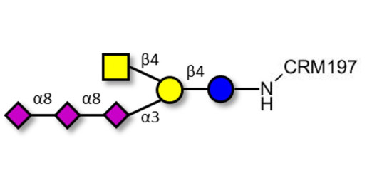 GT2 Ganglioside oligosaccharide grafted on CRM197
