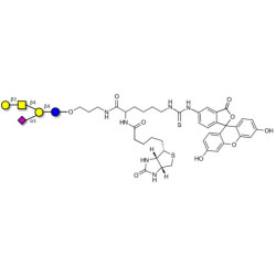 GM1a Ganglioside oligosaccharide linked to biotin and fluorescein (Linker-BT-FLUO A)