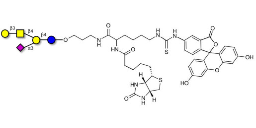 GM1a Ganglioside oligosaccharide linked to biotin and fluorescein (Linker-BT-FLUO A)