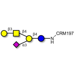 GM1a Ganglioside oligosaccharide grafted on CRM197