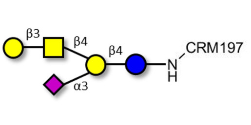 GM1a Ganglioside oligosaccharide grafted on CRM197