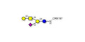 GM1a Ganglioside oligosaccharide grafted on CRM197