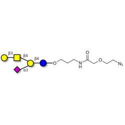 GM1a Ganglioside oligosaccharide with terminal azide (Linker-N3 B)