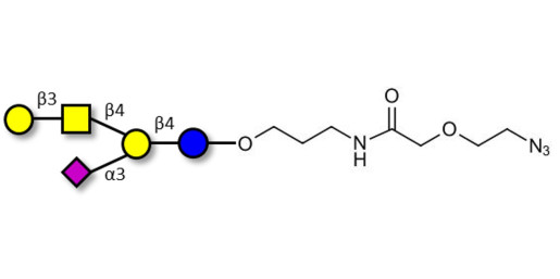 GM1a Ganglioside oligosaccharide with terminal azide (Linker-N3 B)