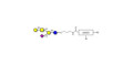 GM1a Ganglioside oligosaccharide with customizable dual functionalization 