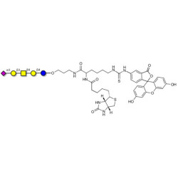 GM1b Ganglioside oligosaccharide linked to biotin and fluorescein (Linker-BT-FLUO A)