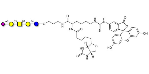 GM1b Ganglioside oligosaccharide linked to biotin and fluorescein (Linker-BT-FLUO A)