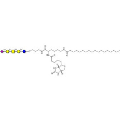 GM1b Ganglioside oligosaccharide linked to biotin and stearic chain (Linker-BT-STEA A)