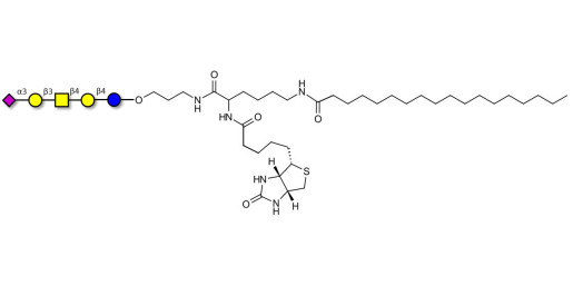 GM1b Ganglioside oligosaccharide linked to biotin and stearic chain (Linker-BT-STEA A)