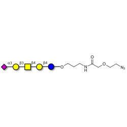 GM1b Ganglioside oligosaccharide with terminal azide (Linker-N3 B)