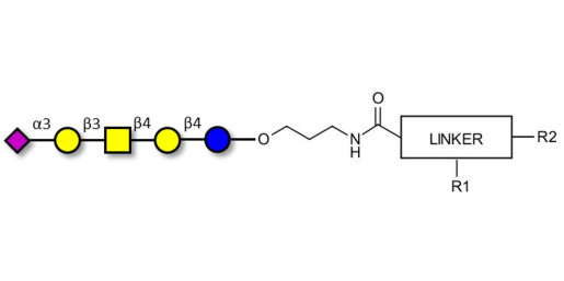 GM1b Ganglioside oligosaccharide with customizable dual functionalization 