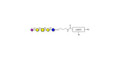 GM1b Ganglioside oligosaccharide with customizable dual functionalization 