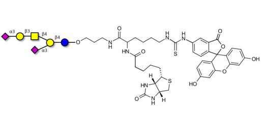 GD1a Ganglioside oligosaccharide linked to biotin and fluorescein (Linker-BT-FLUO A)