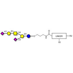 GD1a Ganglioside oligosaccharide with customizable dual functionalization 