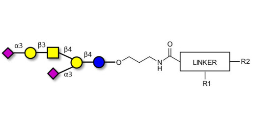 GD1a Ganglioside oligosaccharide with customizable dual functionalization 