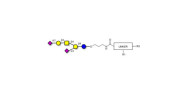 GD1a Ganglioside...