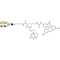 GD1b Ganglioside oligosaccharide linked to biotin and fluorescein (Linker-BT-FLUO A)