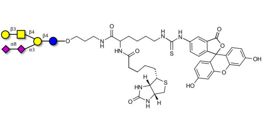 GD1b Ganglioside oligosaccharide linked to biotin and fluorescein (Linker-BT-FLUO A)