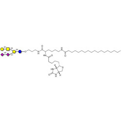 GD1b Ganglioside oligosaccharide linked to biotin and stearic chain (Linker-BT-STEA A)
