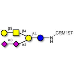 GD1b Ganglioside oligosaccharide grafted on CRM197