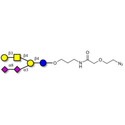 GD1b Ganglioside oligosaccharide with terminal azide (Linker-N3 B)