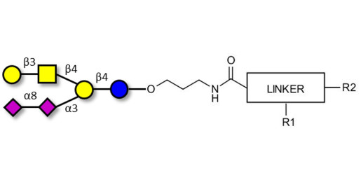 GD1b Ganglioside oligosaccharide with customizable dual functionalization 