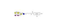 GD1b Ganglioside...