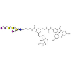 GT1a Ganglioside oligosaccharide linked to biotin and fluorescein (Linker-BT-FLUO A)