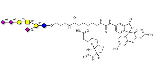 GT1a Ganglioside oligosaccharide linked to biotin and fluorescein (Linker-BT-FLUO A)