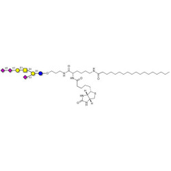 GT1a Ganglioside oligosaccharide linked to biotin and stearic chain (Linker-BT-STEA A)