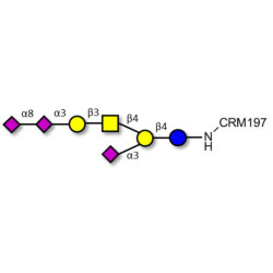 GT1a Ganglioside oligosaccharide grafted on CRM197