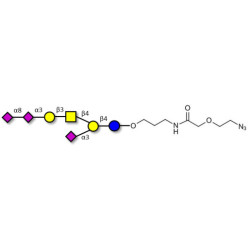GT1a Ganglioside oligosaccharide with terminal azide (Linker-N3 B)