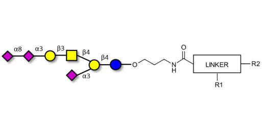 GT1a Ganglioside oligosaccharide with customizable dual functionalization 