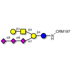 GT1c Ganglioside oligosaccharide grafted on CRM197