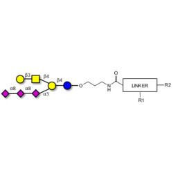 GT1c Ganglioside oligosaccharide with customizable dual functionalization 