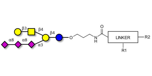 GT1c Ganglioside oligosaccharide with customizable dual functionalization 