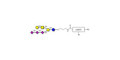 GT1c Ganglioside oligosaccharide with customizable dual functionalization 