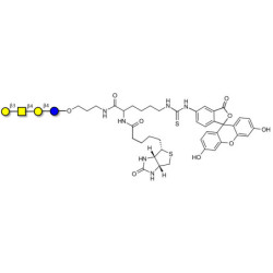 Asialo GM1 Ganglioside oligosaccharide (aGM1) linked to biotin and fluorescein (Linker-BT-FLUO A)