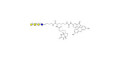 Asialo GM1 Ganglioside oligosaccharide (aGM1) linked to biotin and fluorescein (Linker-BT-FLUO A) - GA1 ; Gangliotetraose