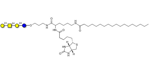 Asialo GM1 Ganglioside oligosaccharide (aGM1) linked to biotin and stearic chain (Linker-BT-STEA A) - GA1 ; Gangliotetraose