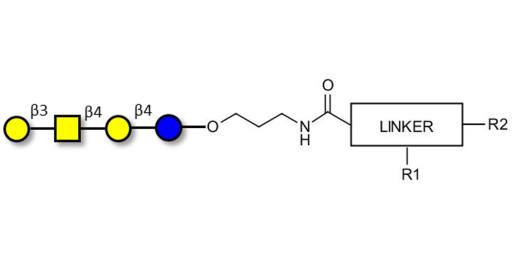 Asialo GM1 Ganglioside oligosaccharide (aGM1) with customizable dual functionalization  - GA1 ; Gangliotetraose