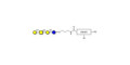 Asialo GM1 Ganglioside oligosaccharide (aGM1) with customizable dual functionalization  - GA1 ; Gangliotetraose