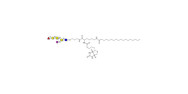 Fucosyl GM1 Ganglioside...