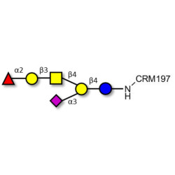 Fucosyl GM1 Ganglioside oligosaccharide grafted on CRM197