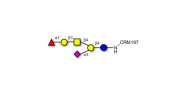 Fucosyl GM1 Ganglioside...