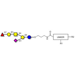 Fucosyl GM1 Ganglioside oligosaccharide with customizable dual functionalization 