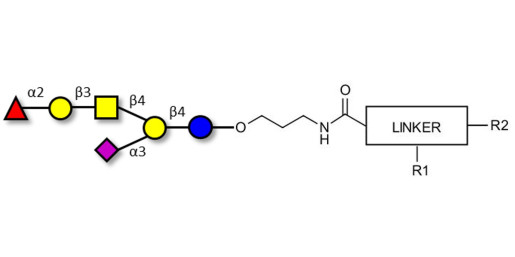 Fucosyl GM1 Ganglioside oligosaccharide with customizable dual functionalization 