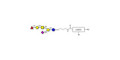 Fucosyl GM1 Ganglioside oligosaccharide with customizable dual functionalization 